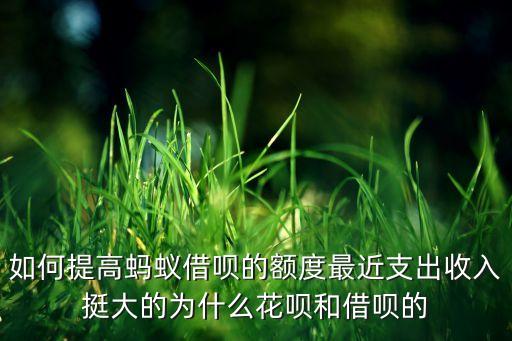 如何提高螞蟻借唄的額度最近支出收入挺大的為什么花唄和借唄的