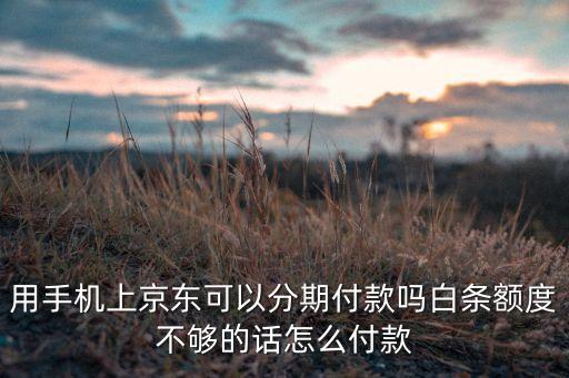 用手機上京東可以分期付款嗎白條額度不夠的話怎么付款