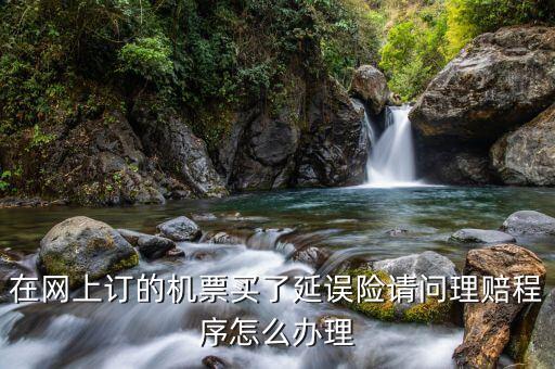 在網(wǎng)上訂的機票買了延誤險請問理賠程序怎么辦理