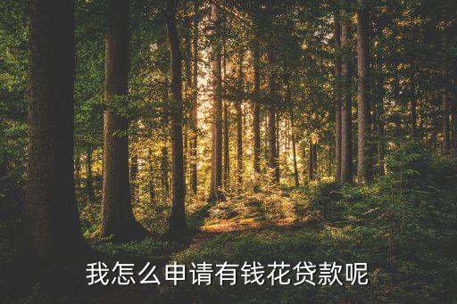 我怎么申請有錢花貸款呢
