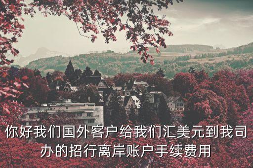 招商銀行美元怎么轉(zhuǎn)賬手續(xù)費(fèi)嗎，從美國(guó)電匯到國(guó)內(nèi)招商銀行手續(xù)費(fèi)多少