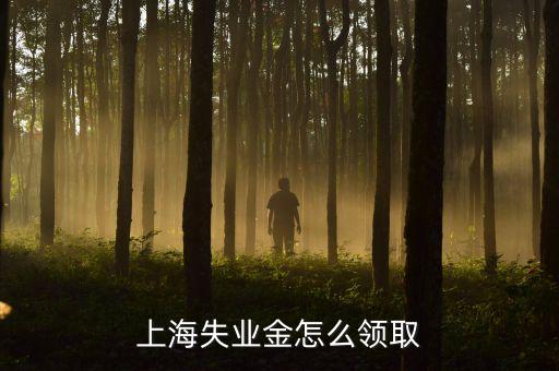 上海失業(yè)金怎么領(lǐng)取