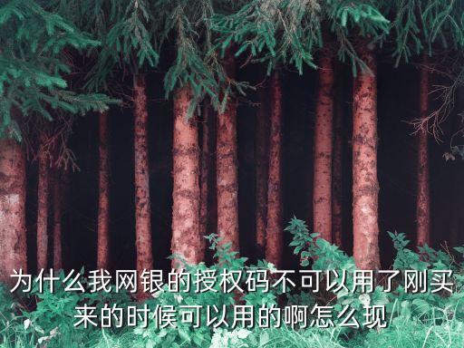 回發(fā)建行授權(quán)碼失敗怎么回事，建設(shè)銀行個(gè)人網(wǎng)上手機(jī)銀行登錄授權(quán)碼發(fā)不去怎么回事