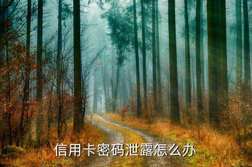 信用卡動(dòng)態(tài)密碼泄露怎么辦，招商銀行的動(dòng)態(tài)碼泄露了怎么辦