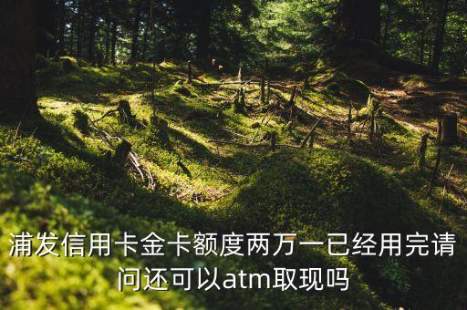 浦發(fā)信怎么取現(xiàn)，浦發(fā)銀行信用卡沒(méi)銀聯(lián)那要怎么取現(xiàn)呢