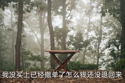 我沒買上已經(jīng)撤單了怎么錢還沒退回來