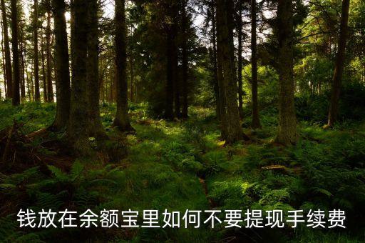 錢放在余額寶里如何不要提現(xiàn)手續(xù)費(fèi)