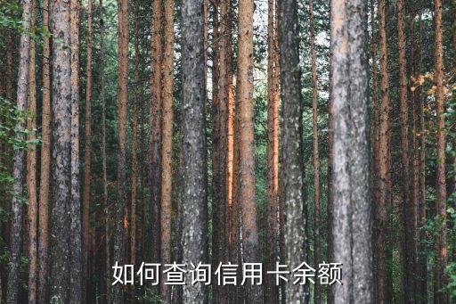 怎么看信用卡的余額，怎么查云南信用卡余額