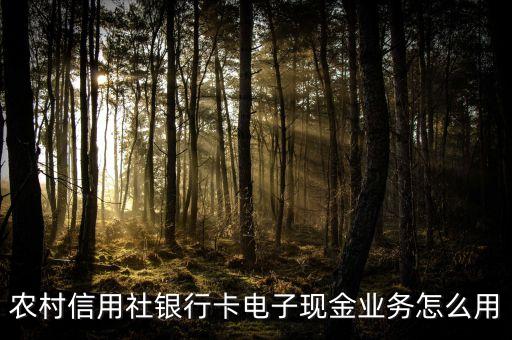 農(nóng)行電子現(xiàn)金怎么消費(fèi)，電子現(xiàn)金怎么消費(fèi) 可以購物嘛