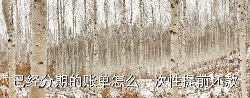 已經(jīng)分期的賬單怎么一次性提前還款