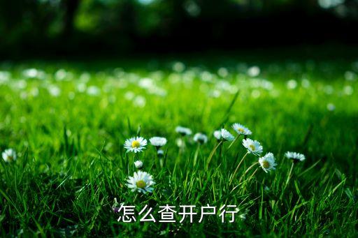 怎么查開(kāi)戶行