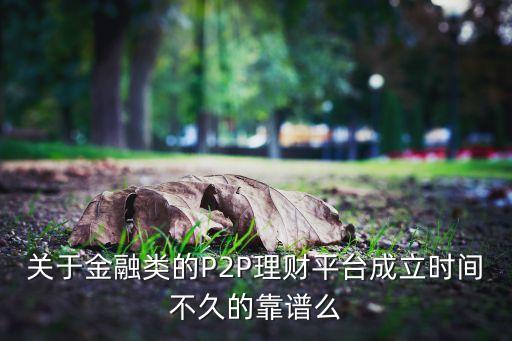 金融投資平臺怎么樣，關于金融類的P2P理財平臺成立時間不久的靠譜么