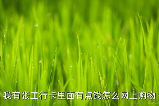 我有張工行卡里面有點(diǎn)錢(qián)怎么網(wǎng)上購(gòu)物