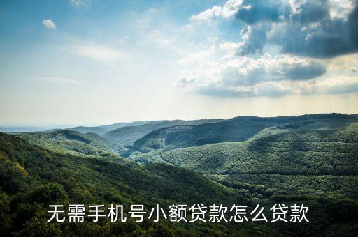 無需手機(jī)號小額貸款怎么貸款
