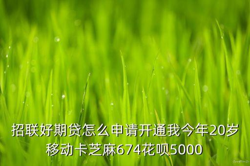 招聯(lián)好期貸怎么申請開通我今年20歲移動卡芝麻674花唄5000