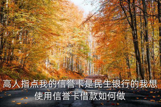 誠信卡貸款怎么貸，個人信用卡如何貸款