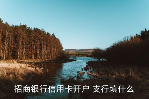 招商分行怎么寫，信用卡還款開戶行怎么填寫