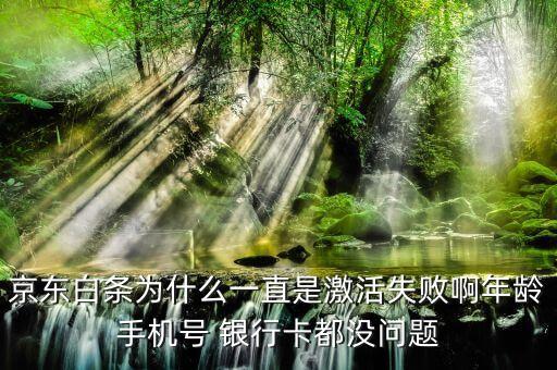京東白條為什么一直是激活失敗啊年齡手機號 銀行卡都沒問題