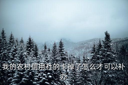 我的農(nóng)村信用社的卡掉了怎么才可以補辦