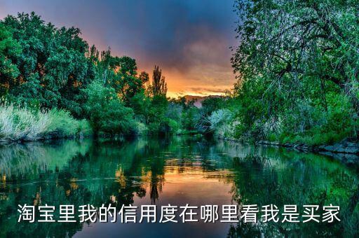 淘寶里我的信用度在哪里看我是買家