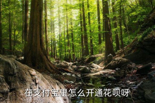 要怎么才有螞蟻花唄，螞蟻花唄怎樣開通