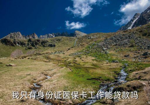 我只有身份證醫(yī)?？üぷ髂苜J款嗎