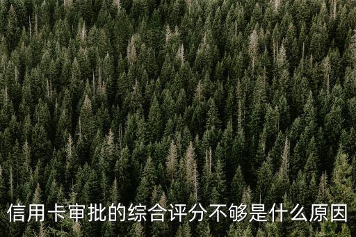 信用卡審批的綜合評(píng)分不夠是什么原因