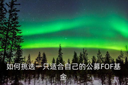 如何挑選一只適合自己的公募FOF基金