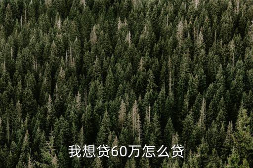銀行怎么貸款60萬(wàn)，本人資金不夠如何貸款六十萬(wàn)