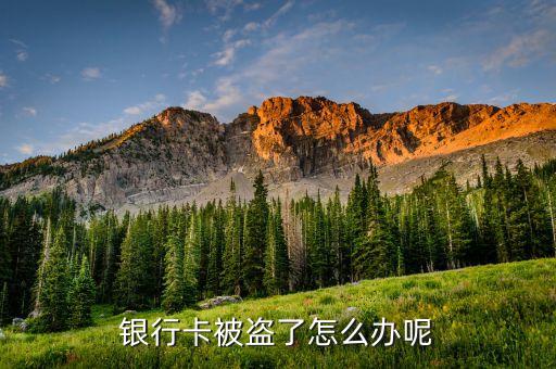 銀行卡錢被盜走怎么辦，銀行卡的錢被盜了怎辦