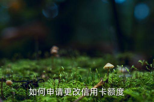 如何申請(qǐng)更改信用卡額度
