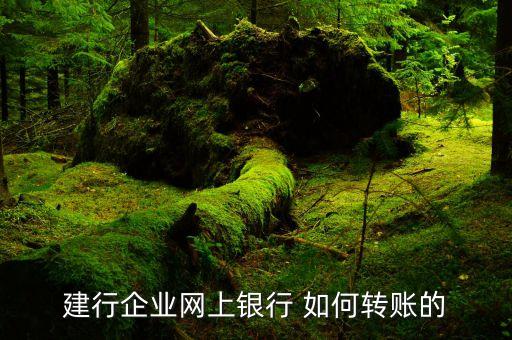 建行公賬怎么轉(zhuǎn)賬，建行怎么公對公轉(zhuǎn)賬到河北銀行
