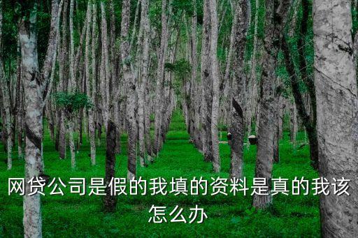 網(wǎng)貸填假信息怎么辦，如果在網(wǎng)貸填了信用卡賬號(hào)發(fā)現(xiàn)是假的怎么辦