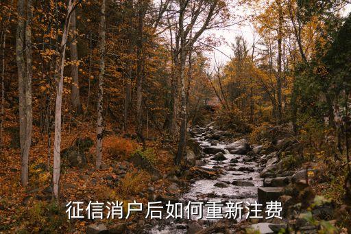 征信怎么注銷再注冊，征信賬號密碼忘記怎么改改了好幾次剛改又給忘了怎么銷戶銷戶完