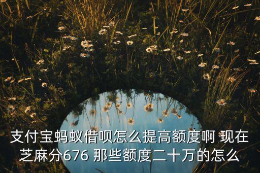 支付寶螞蟻借唄怎么提高額度啊 現(xiàn)在芝麻分676 那些額度二十萬的怎么