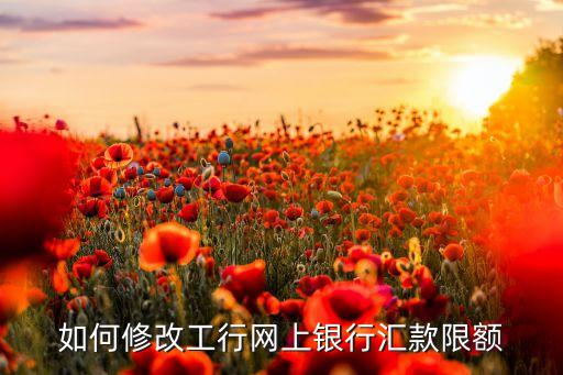 工行卡怎么改轉(zhuǎn)賬限額，如何修改工行網(wǎng)上銀行匯款限額