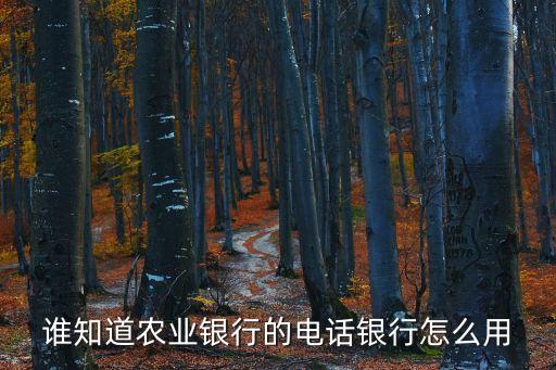 電話銀行怎么使用，工行電話銀行怎么用啊