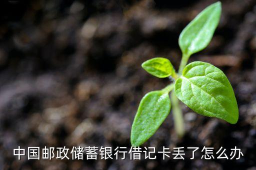 郵政借記卡掉了怎么辦，郵政借記卡丟失補辦流程