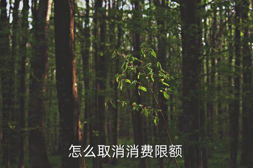 銀行卡怎么解除限額，我的賬戶被限制了消費(fèi)額怎么解開