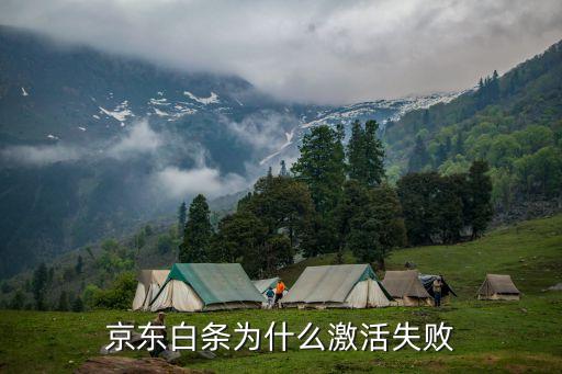京東白條為什么激活失敗