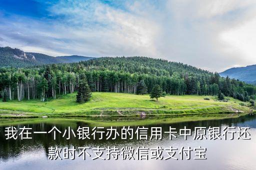 我在一個(gè)小銀行辦的信用卡中原銀行還款時(shí)不支持微信或支付寶