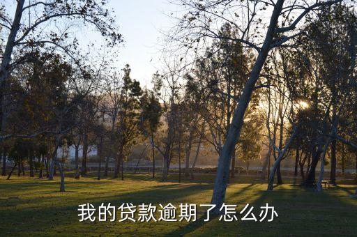 我的貸款逾期了怎么辦