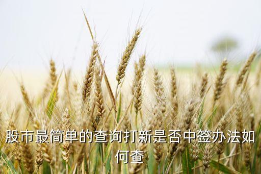 股市最簡單的查詢打新是否中簽辦法如何查