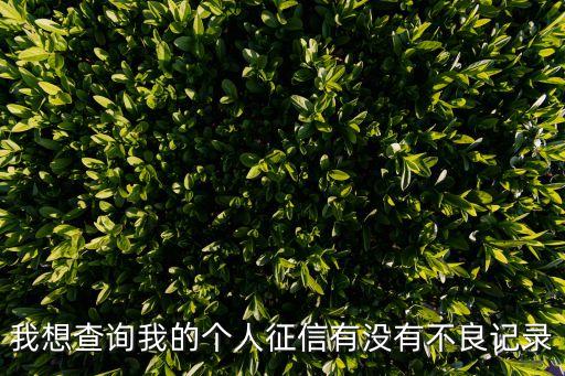 我想查詢我的個(gè)人征信有沒有不良記錄