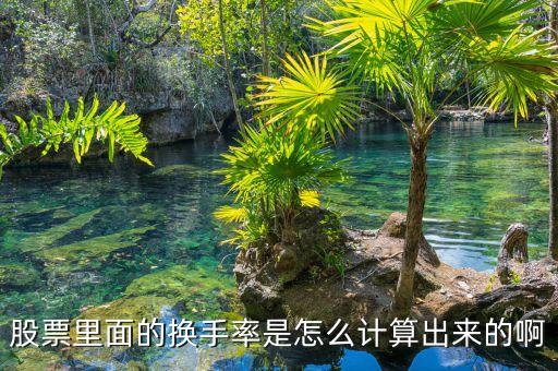 次新股換手率怎么計(jì)算，股票里面的換手率是怎么計(jì)算出來的啊