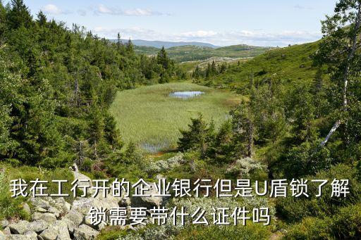 我在工行開的企業(yè)銀行但是U盾鎖了解鎖需要帶什么證件嗎