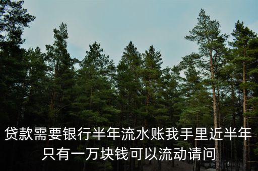 貸款需要銀行半年流水賬我手里近半年只有一萬塊錢可以流動請問