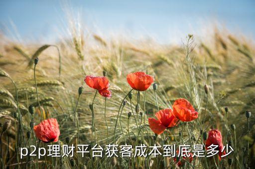 p2p平臺營銷成本怎么算，請問大家誰在做P2P的推廣目前一個客戶的轉(zhuǎn)化成本是多少單均額