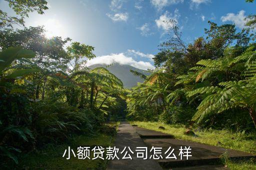 小額貸款公司怎么樣