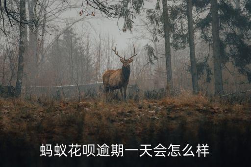 螞蟻花唄逾期一天會怎么樣